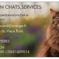 carte visite